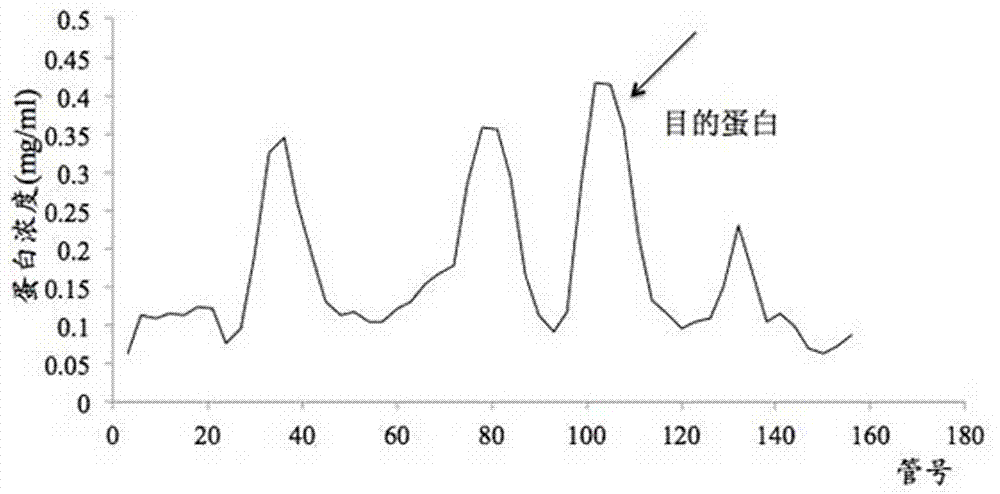 Feed additive containing lipase from different sources, and application thereof in yellow feather broiler feed