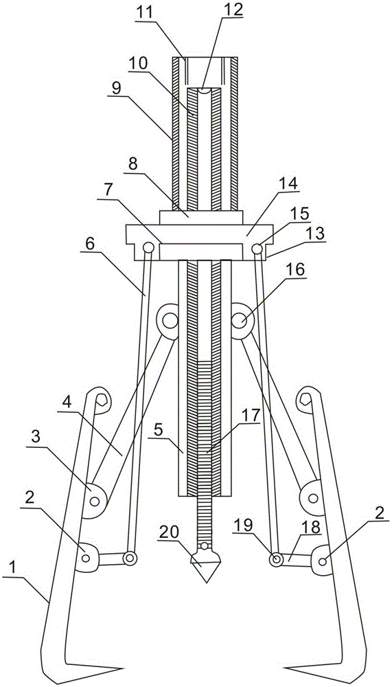 Multi-purpose bearing extractor