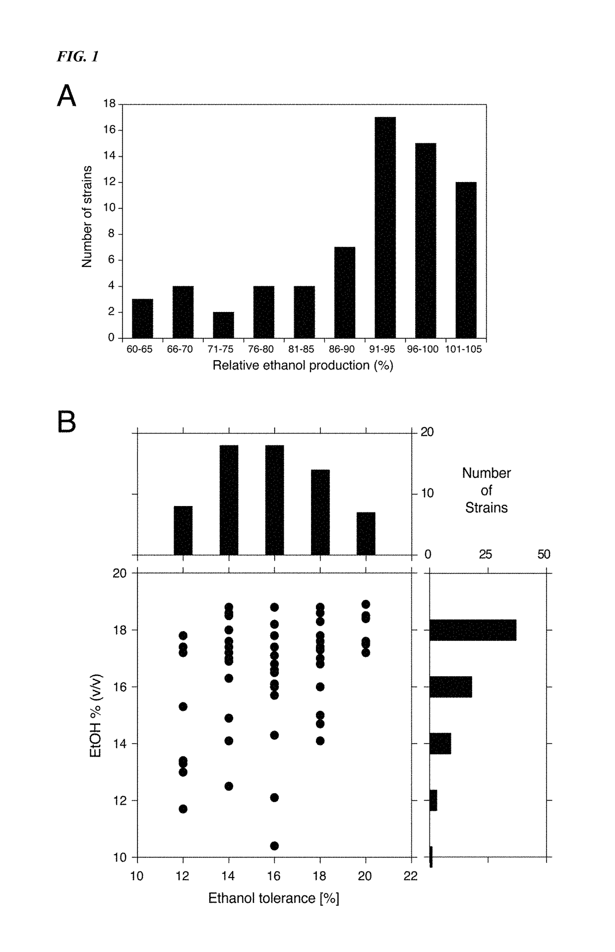 Yeast alleles involved in maximal alcohol accumulation capacity and tolerance to high alcohol levels