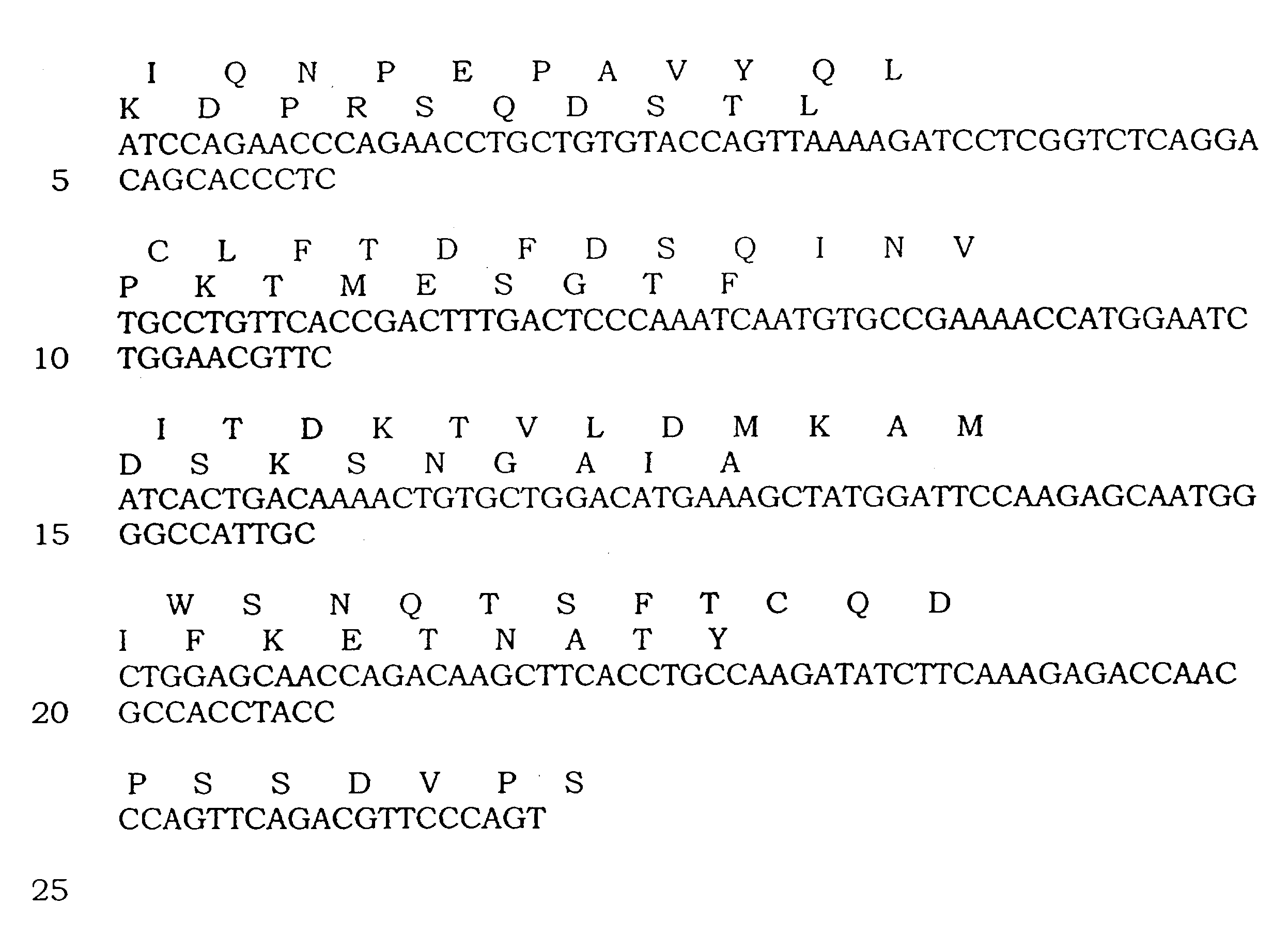 P53 binding t cell receptor molecules