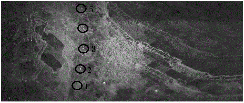 Orientation multichannel synthetic aperture radar imaging method based on Doppler estimation