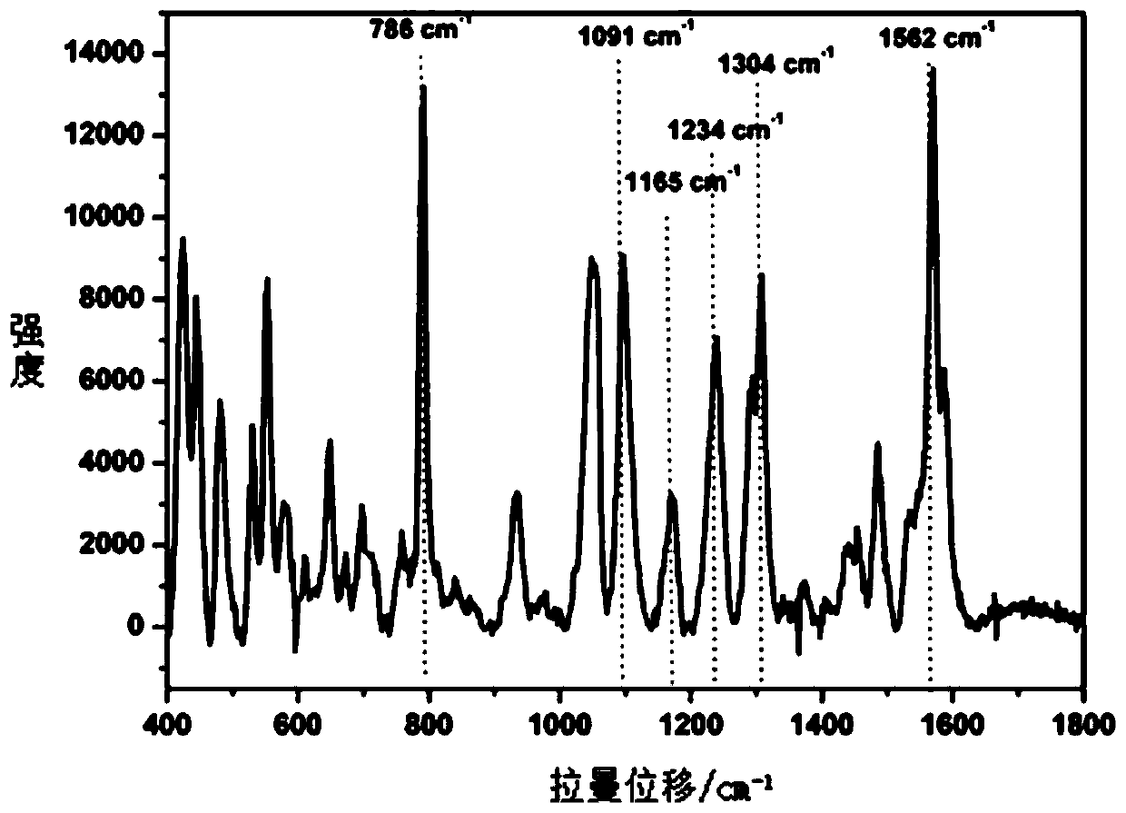 Method of quickly detecting chlorpromazine hydrochloride in fodder