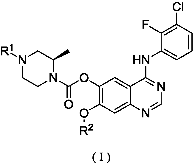 Substituted quinazoline compound, pharmaceutical composition containing substituted quinazoline compound, and applications of substituted quinazoline compound