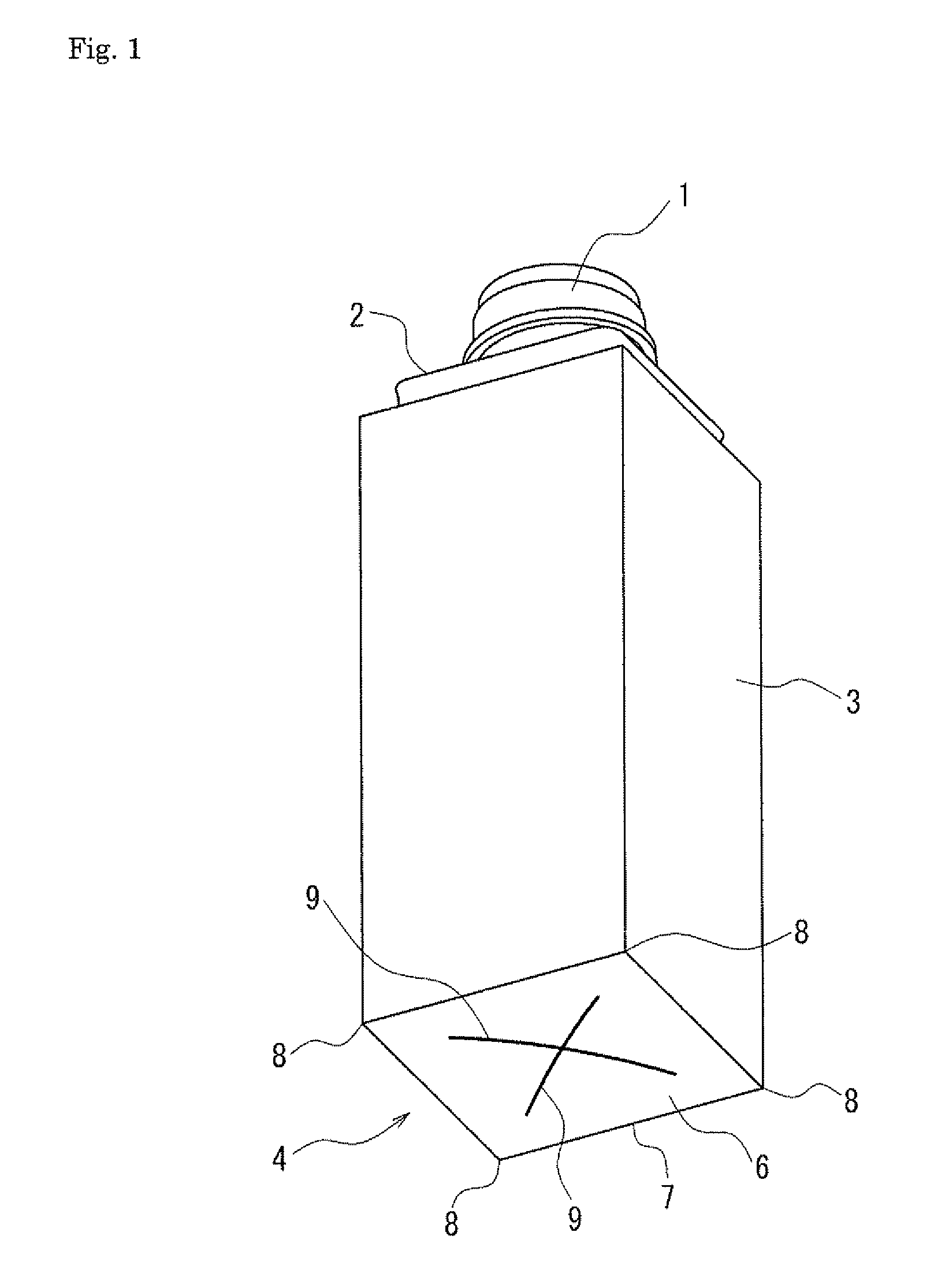 Blow molded container and process for molding the same