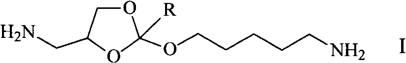 Synthesis method of diamido ortho-ester monomer