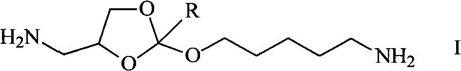 Synthesis method of diamido ortho-ester monomer