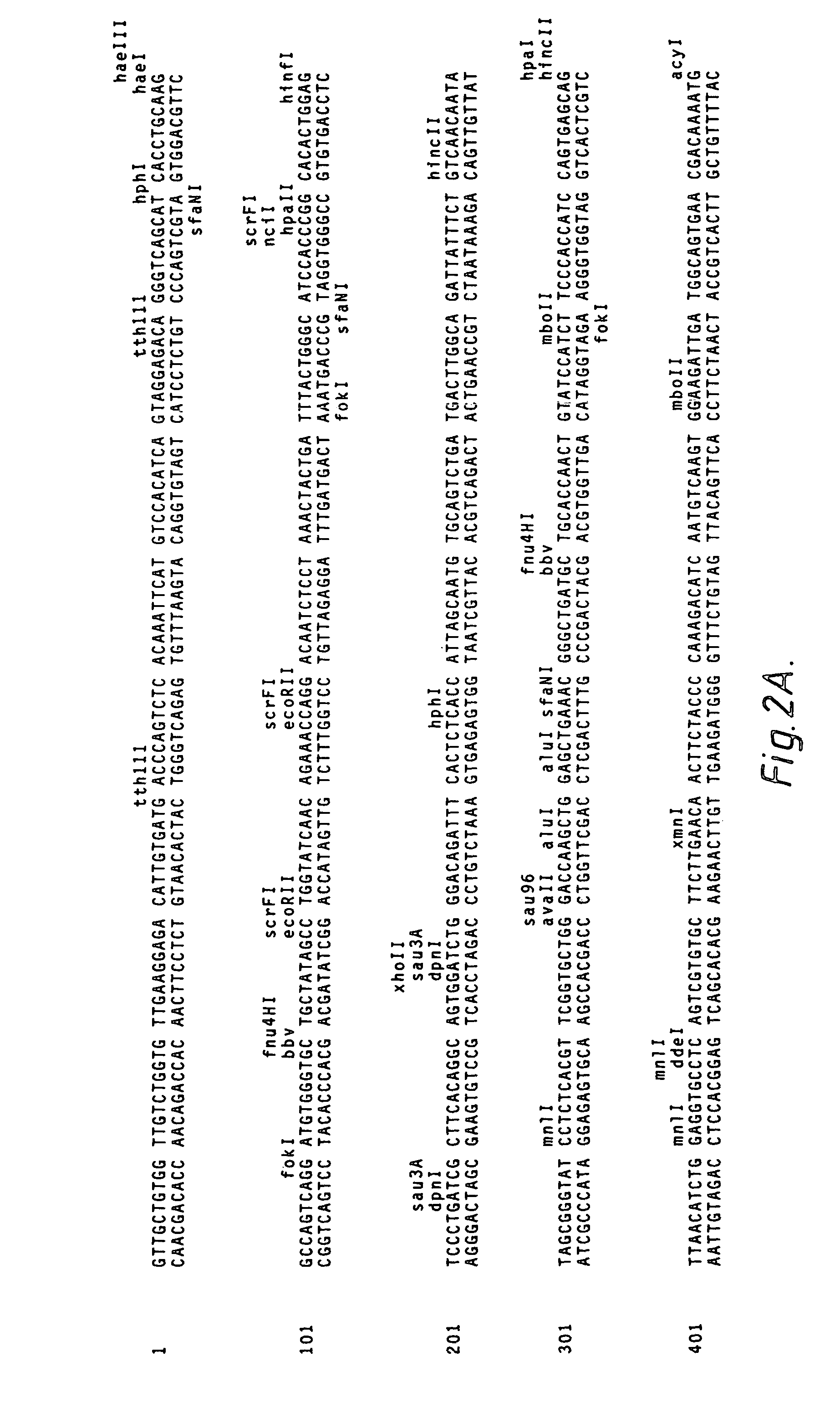 Methods of making antibody heavy and light chains having specificity for a desired antigen