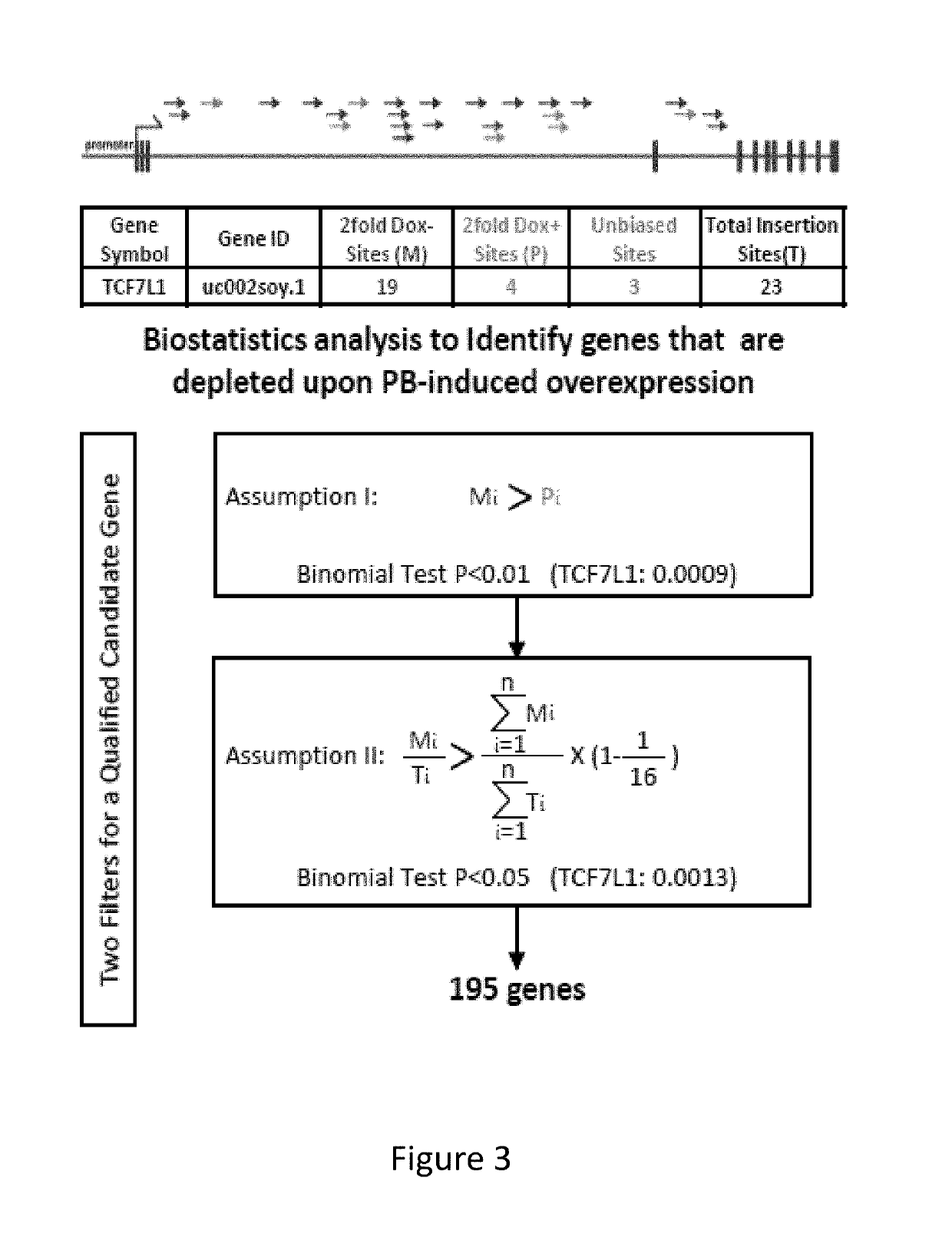 Compositions and methods of using transposons