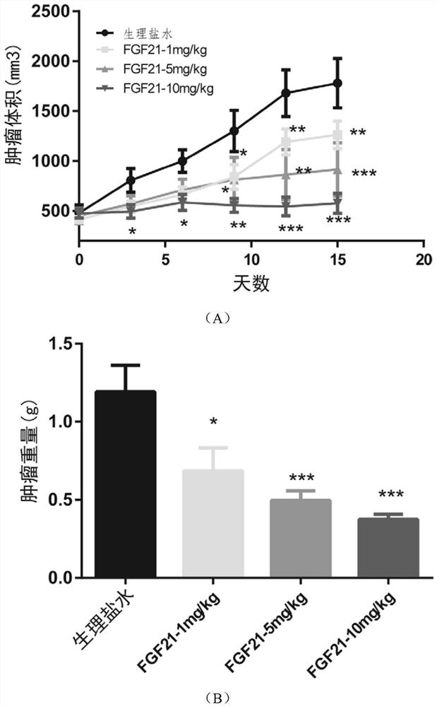 Application of fgf21 in preparation of medicine for treating colorectal cancer