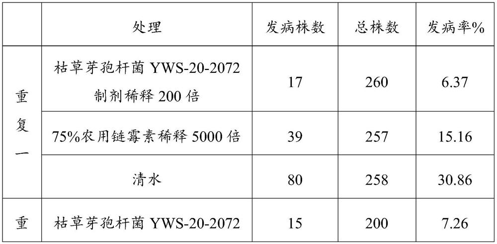 Biological agent for preventing and treating tobacco bacterial wilt as well as preparation method and application of biological agent