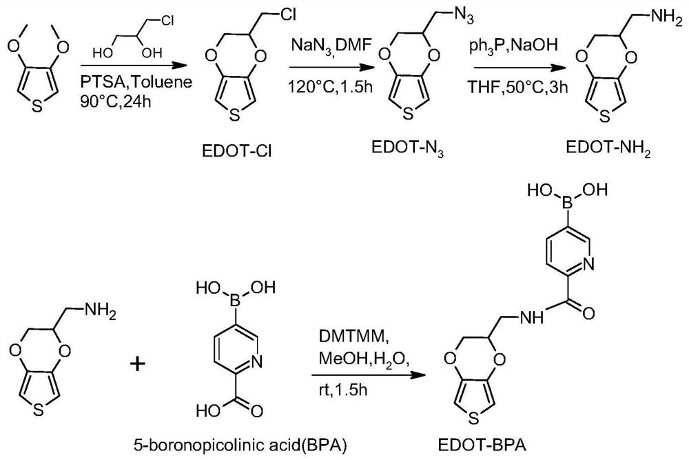 A kind of preparation method of sialic acid recognition conductive polymer precursor