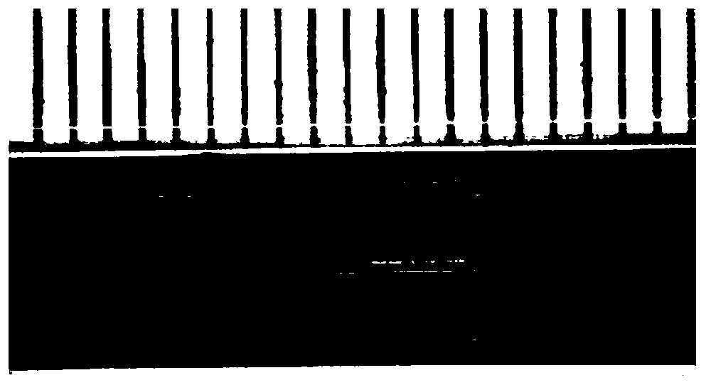 Preparation method of bicomponent asymmetric hollow fiber ceramic membrane with petal-shaped cross section