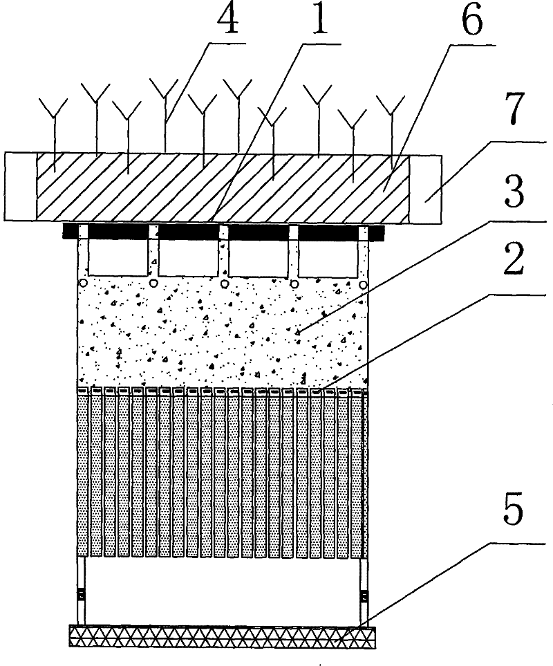 Ecological purification system of landscape water body