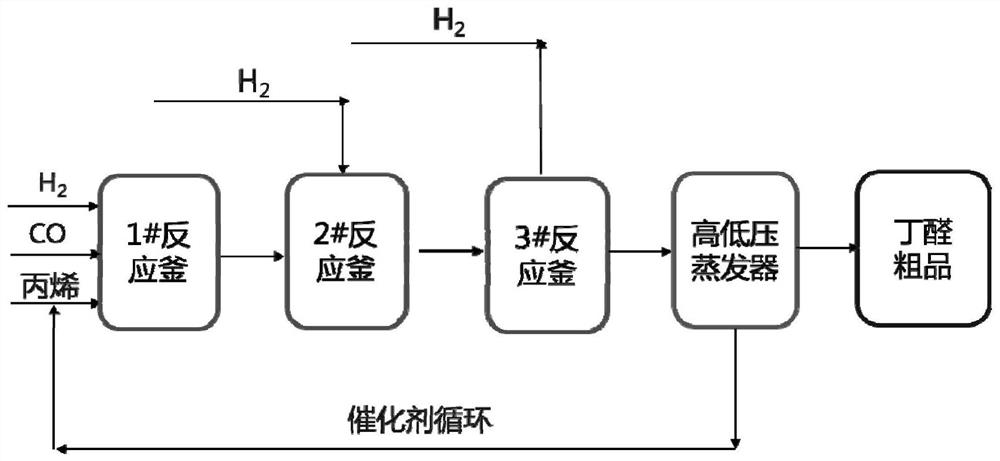 Olefin hydroformylation catalyst composition and hydroformylation process