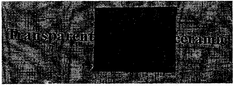 Transparent beta-silicon nitride ceramics and preparation method thereof