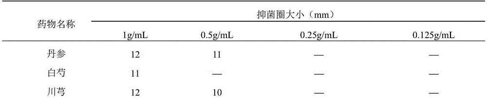 Traditional Chinese medicine composition capable of being used to treat endometritis of cows and preparation method of preparation thereof