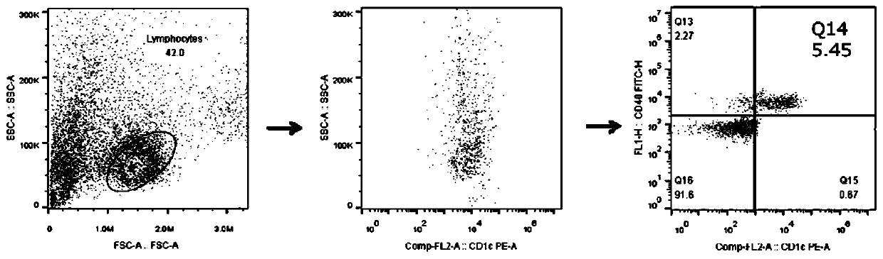 Combined formula kit for analyzing phenotype and function of CD1c+ dendritic cell subsets and application thereof