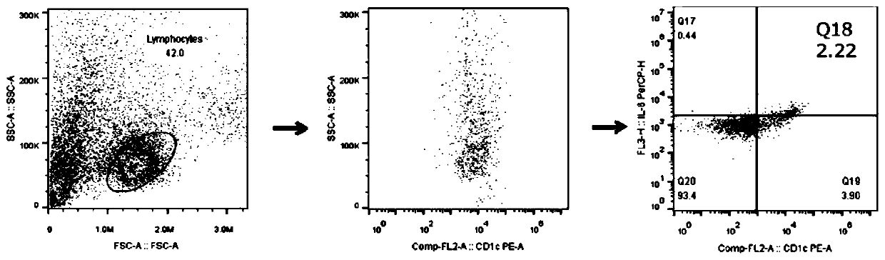 Combined formula kit for analyzing phenotype and function of CD1c+ dendritic cell subsets and application thereof