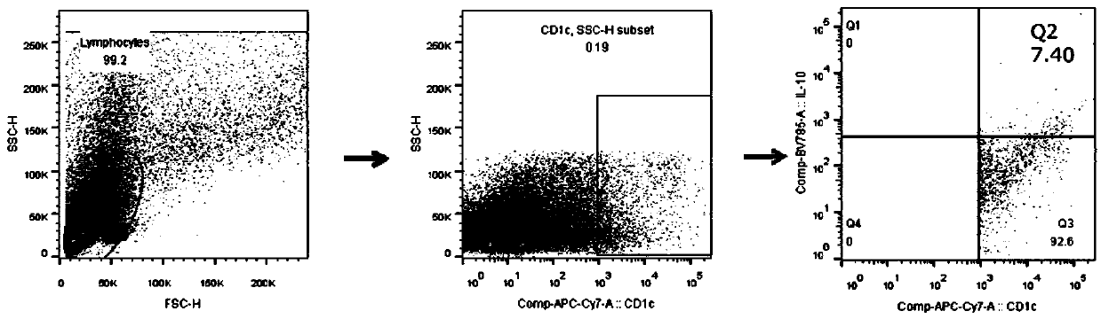 Combined formula kit for analyzing phenotype and function of CD1c+ dendritic cell subsets and application thereof