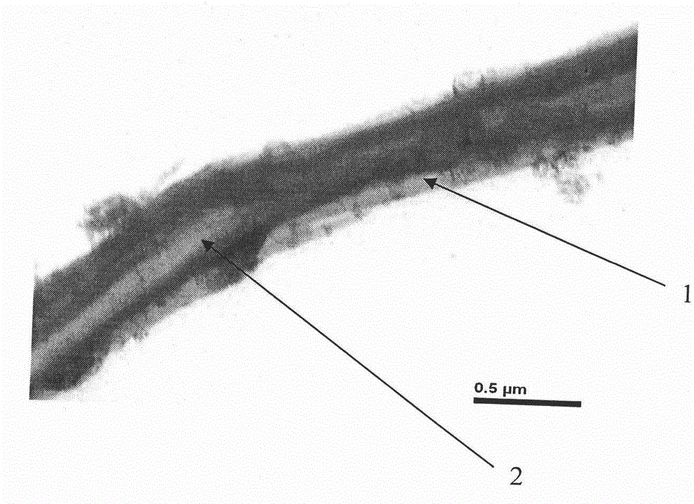 Electroactive composite fiber with core-shell structure and preparation method of tissue engineering scaffold