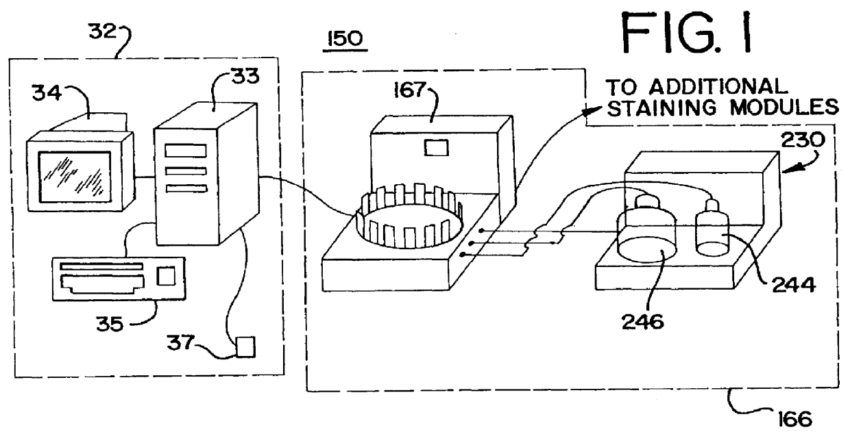 Method and apparatus for rinsing a microscope slide