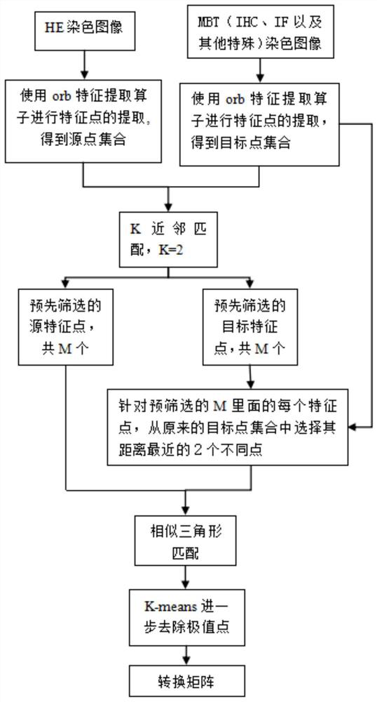 Matching technology based on HE dyeing image and MBT dyeing image