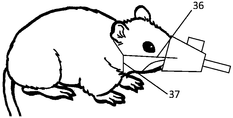 Portable inhalation animal anesthesia device and use methods thereof