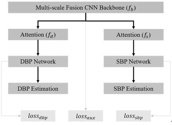 Physiological parameter measurement method based on multi-scale fusion network