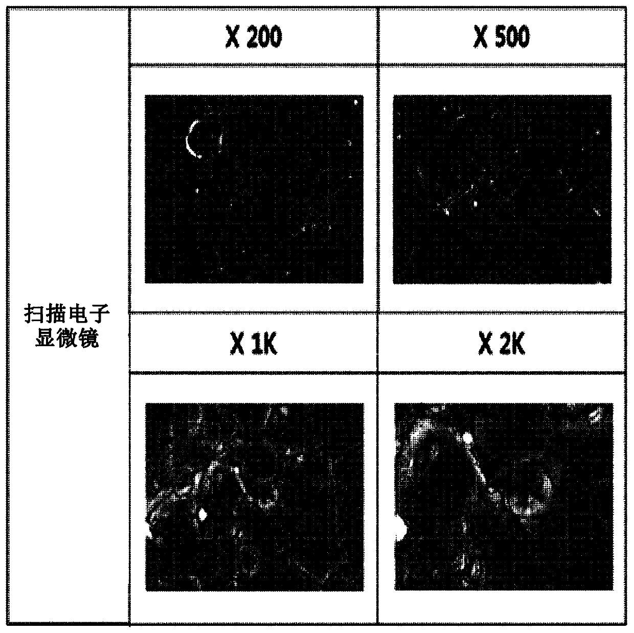 Anode for secondary battery, manufacturing method therefor, and lithium secondary battery manufactured using same