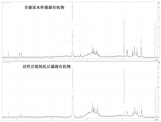 Enhanced coagulation removal method for algae in water body for eliminating inhibition of algae-derived organic matters