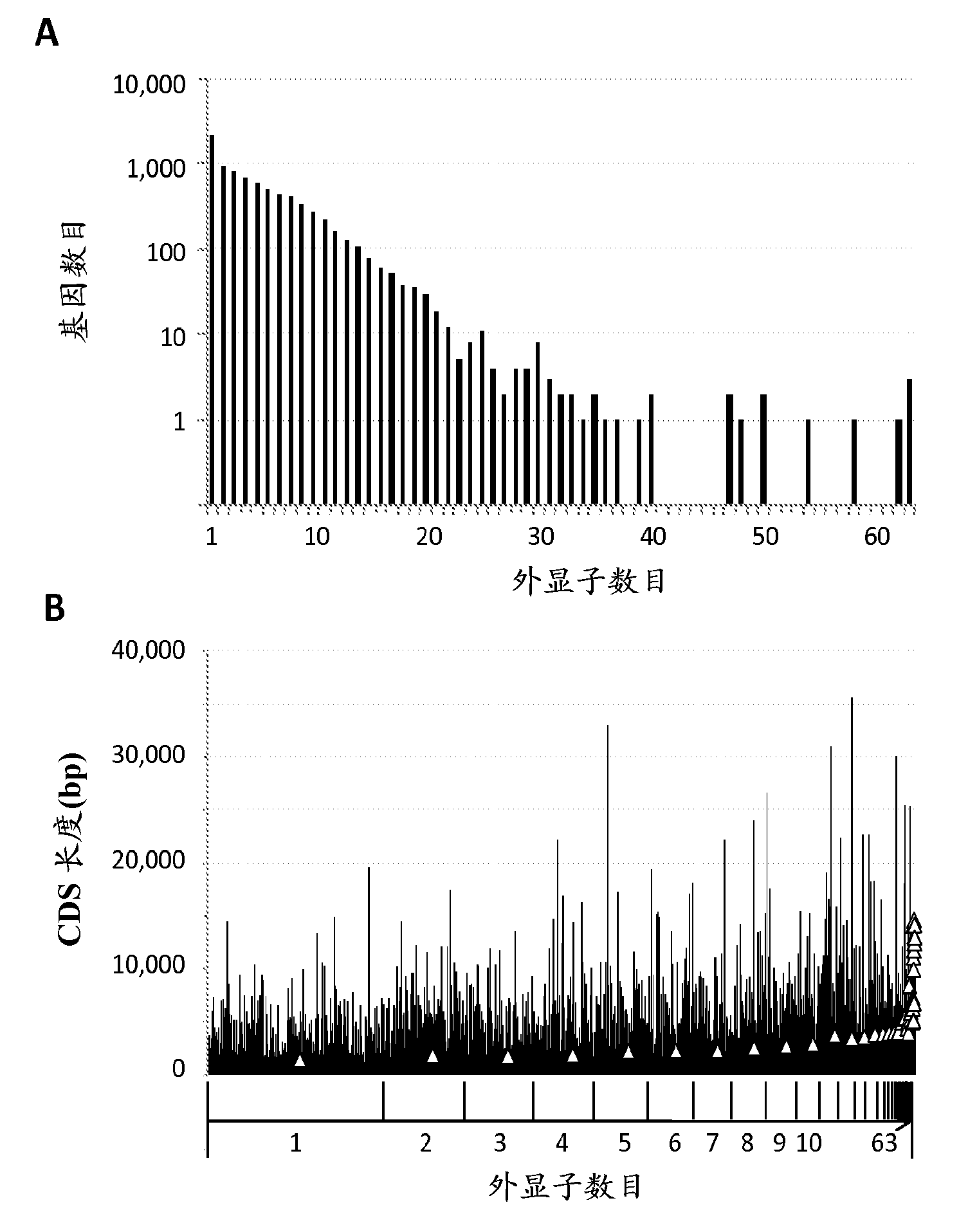 Methods and compositions of protein antigens for the diagnosis and treatment of toxoplasma gondii infections and toxoplasmosis