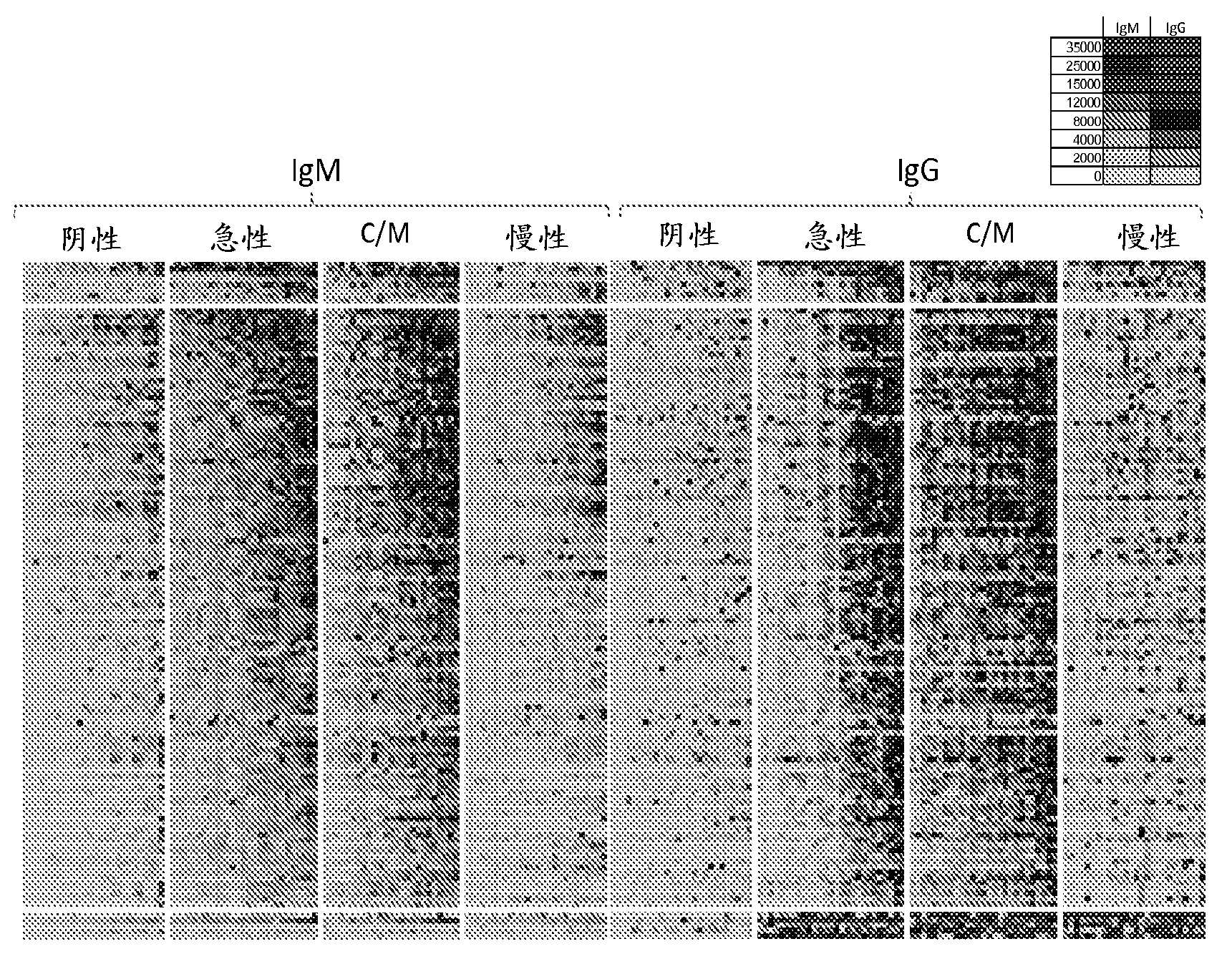 Methods and compositions of protein antigens for the diagnosis and treatment of toxoplasma gondii infections and toxoplasmosis