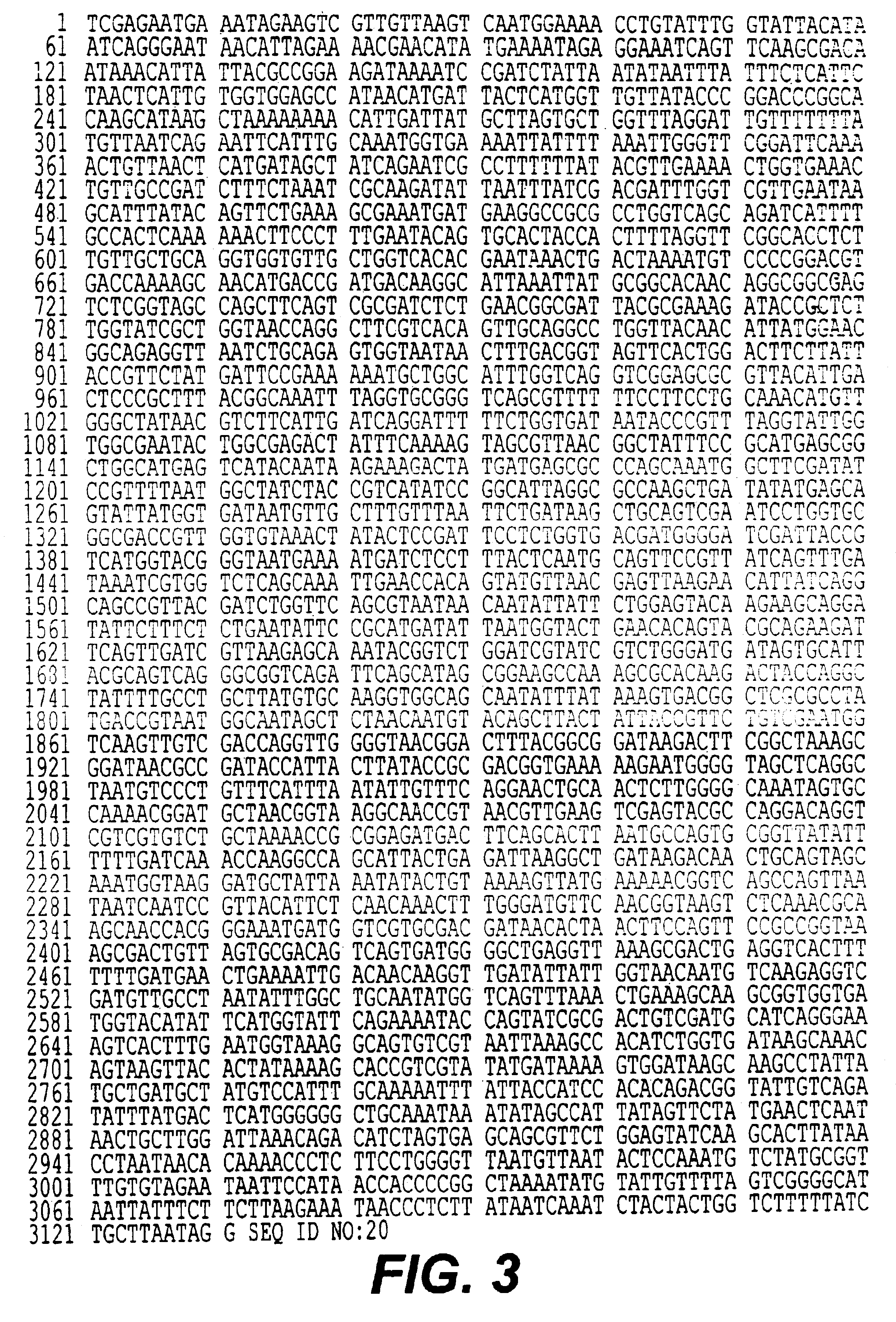 Method of stimulating an immune response by administration of host organisms that express intimin alone or as a fusion protein with one or more other antigens