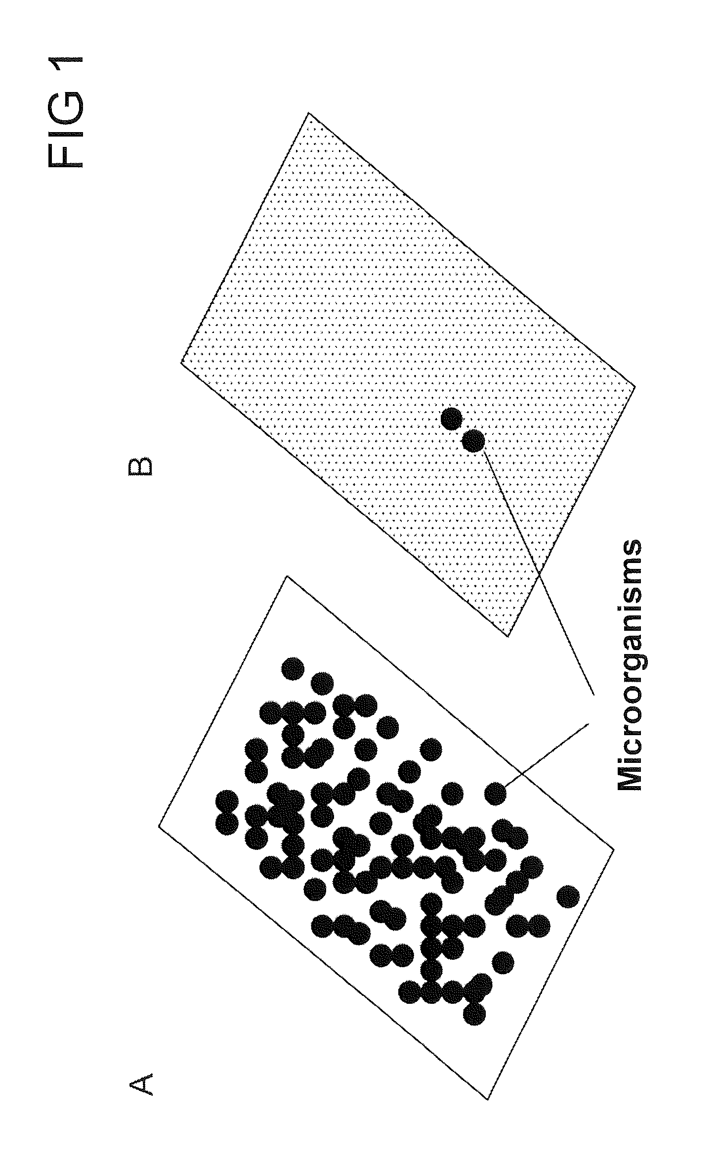 Method for the immobilization of cationic active ingredients on surfaces