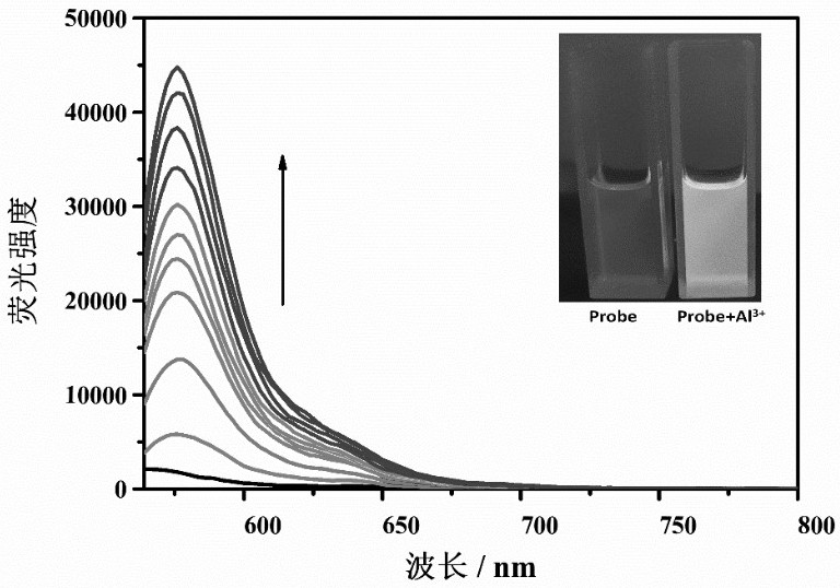 Lysosome targeting rhodamine B hydrazide fluorescent probe as well as preparation method and application thereof