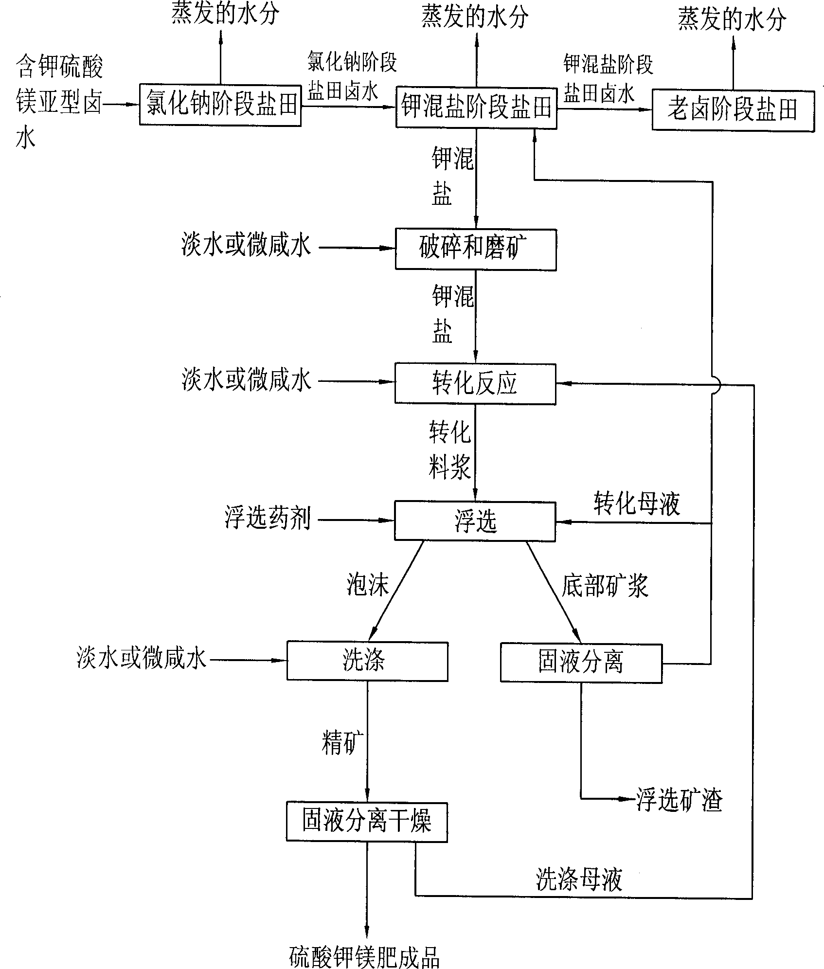 Improved process of preparing magnesium potassium sulfate fertilizer with bittern containing potassium and magnesium sulfite