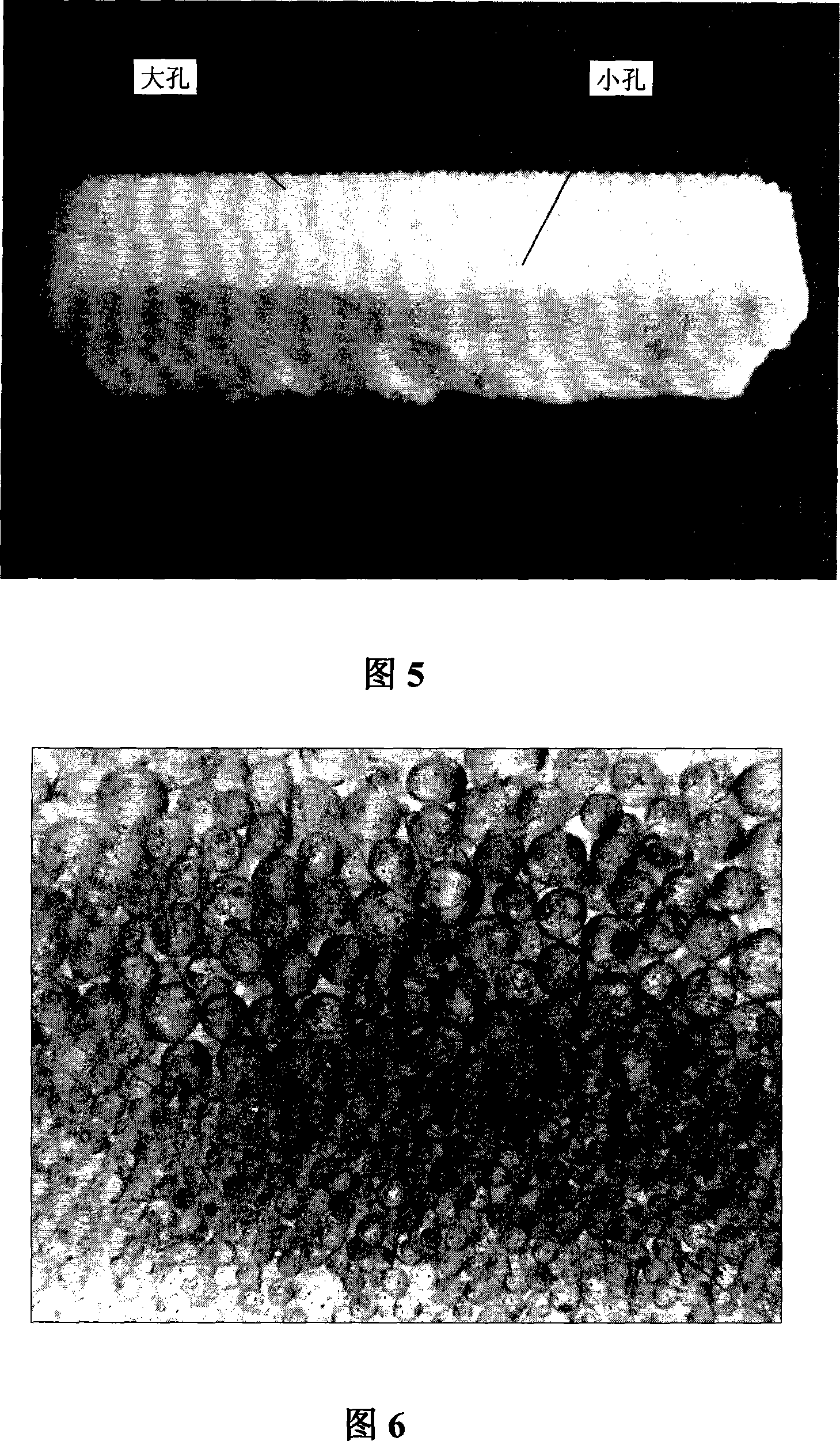 Method for producing micro-structure controllable porous ceramic with agglutinating mould plate method