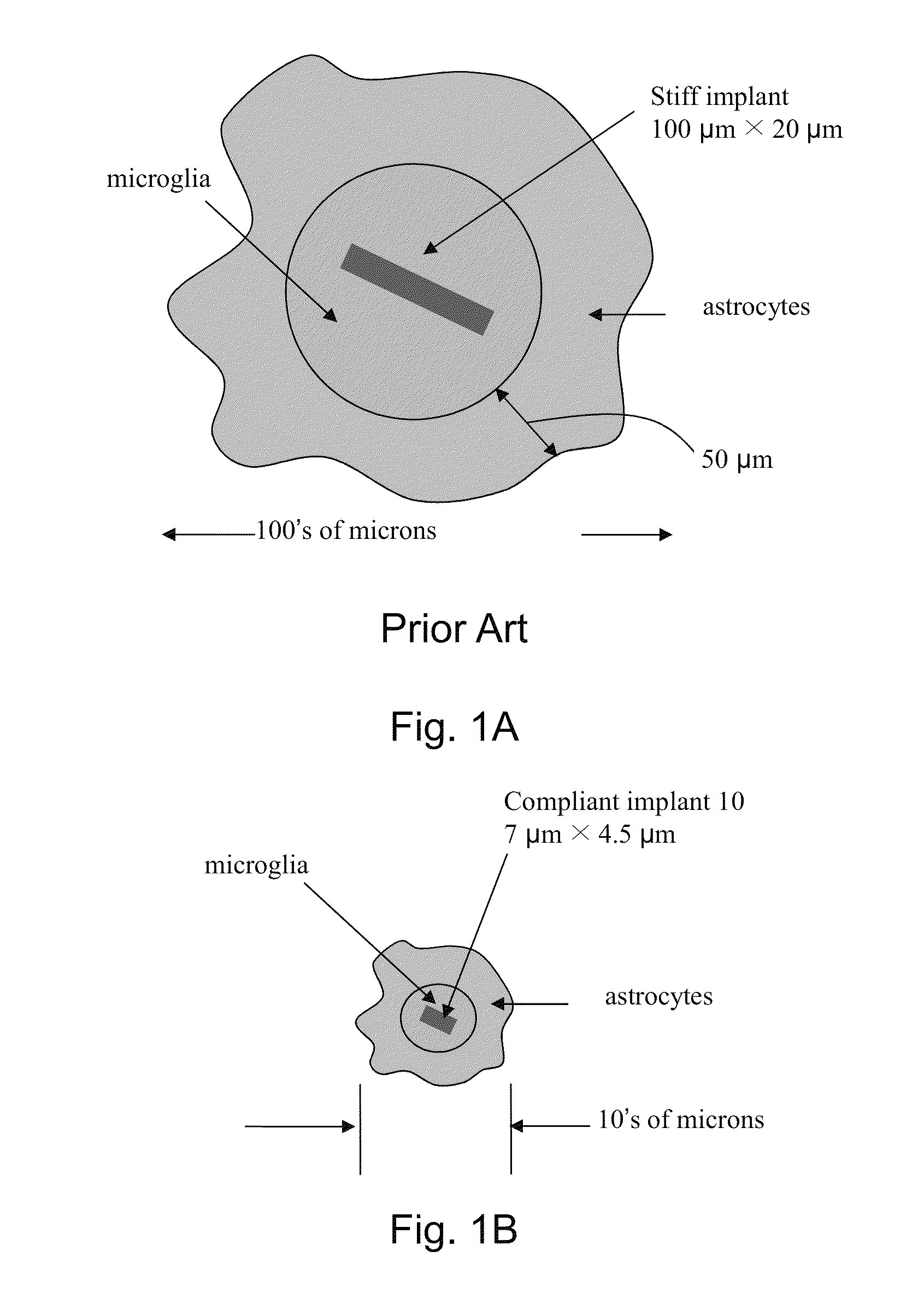 Fabrication, methods, apparatuses, and systems for ultra-compliant probes for neural and other tissues