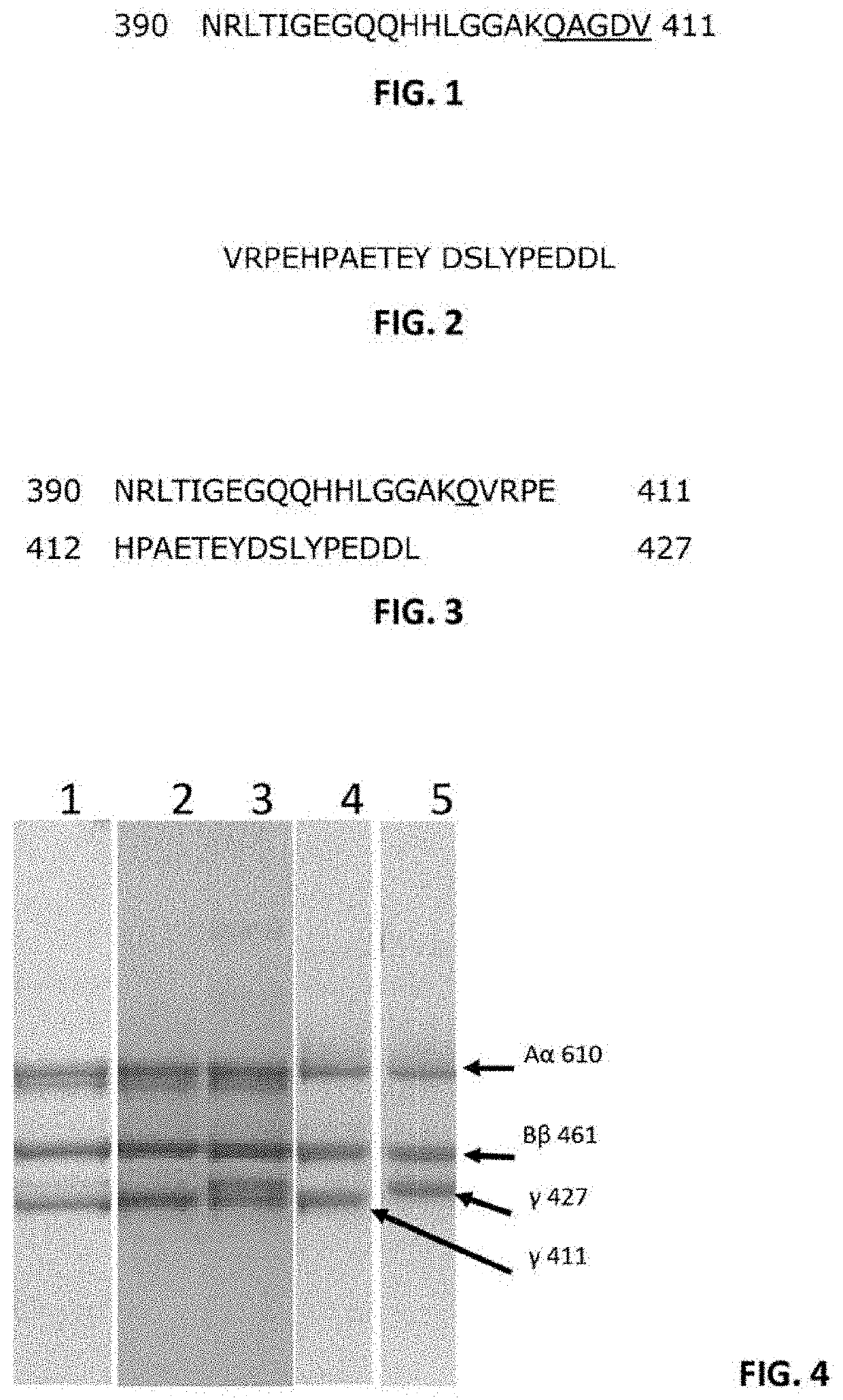 Therapeutic uses of fibrinogen gamma prime variants