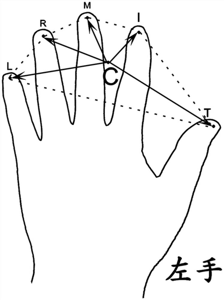 Natural gesture finger recognition algorithm