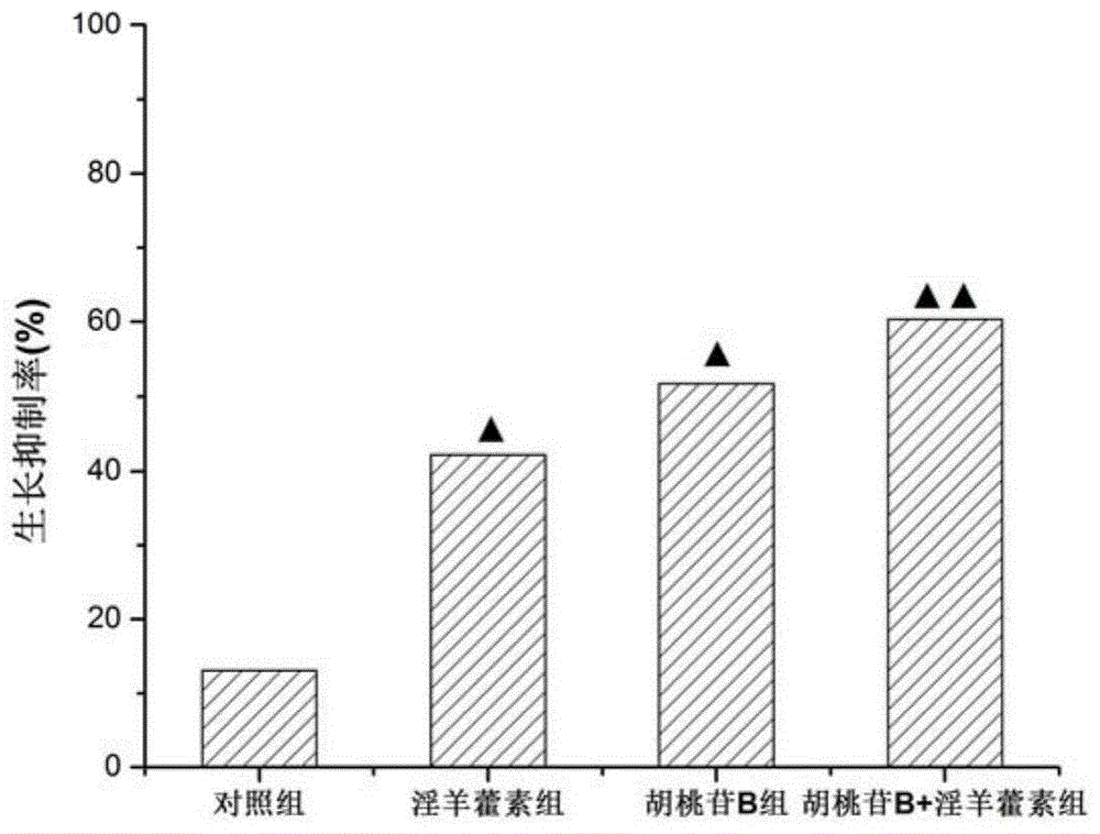 A kind of pharmaceutical composition and its application