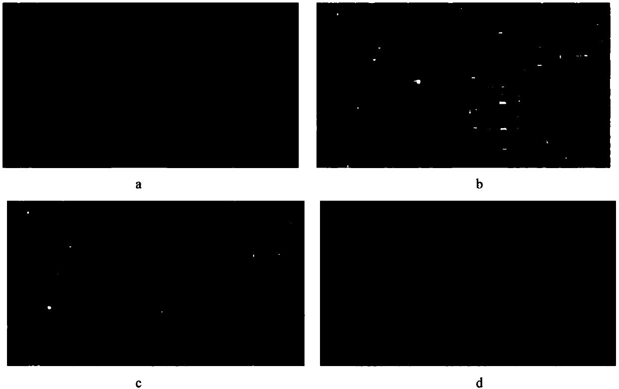 Satellite-borne multi-spectral remote sensing image fusion method based on super-resolution enhancement