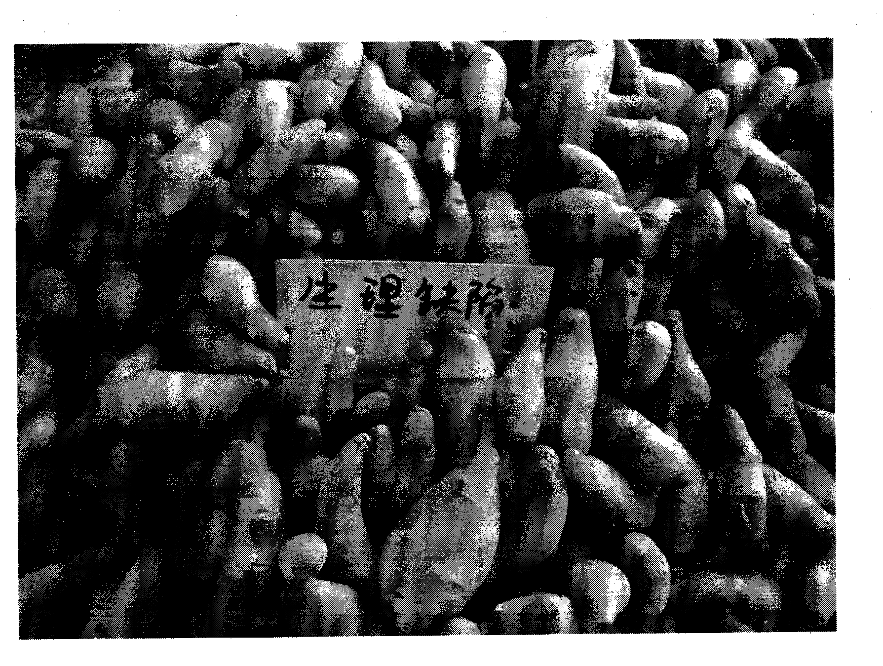 Soilless cultivation method for cultivating miniature seed potatoes through potato virus elimination