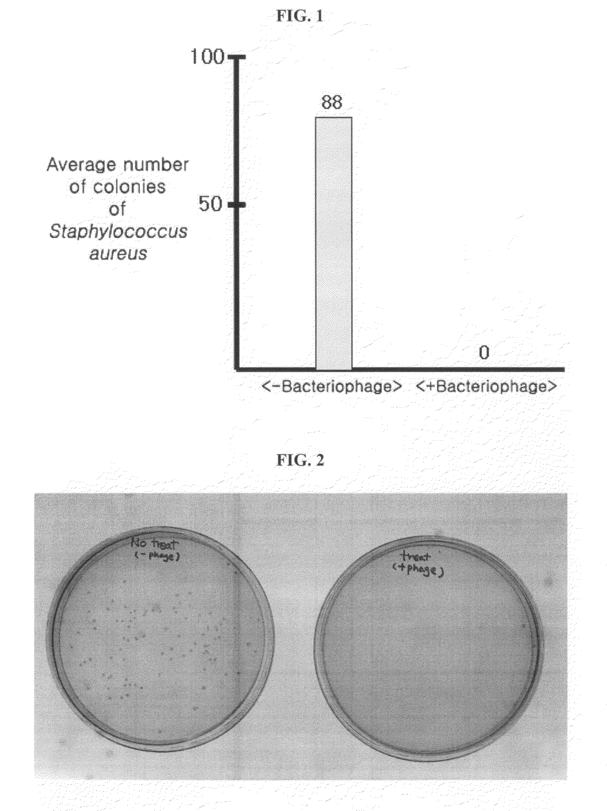 Composition for the treatment of ballast water containing bacteriophage as an effective component and biological method with the same for removing bacteria present in ballast water