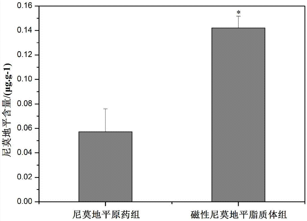 Fe3O4 magnetic nimodipine liposome and preparation method thereof