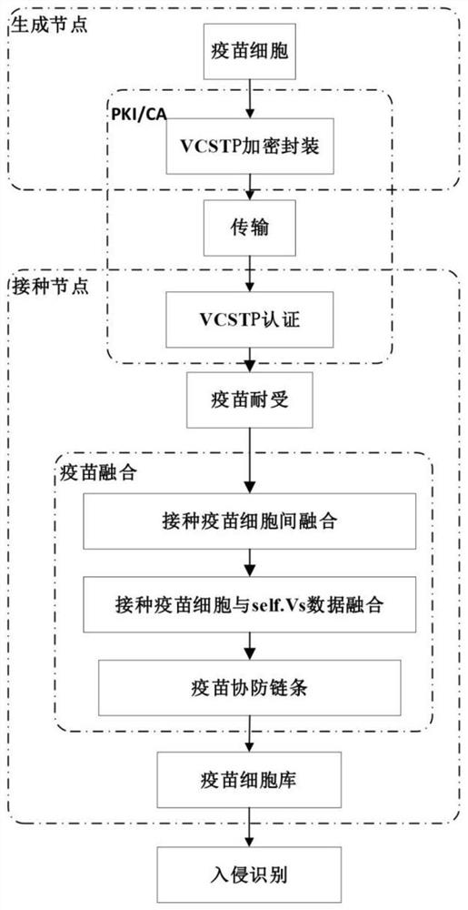 Vaccination and vaccine data fusion method based on artificial immunity