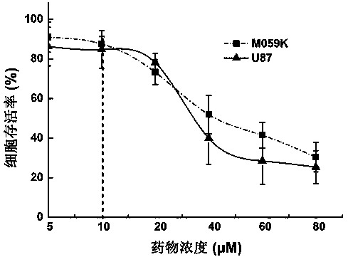 Application of genistein in preparation of heavy ion radiation-sensitizing drug