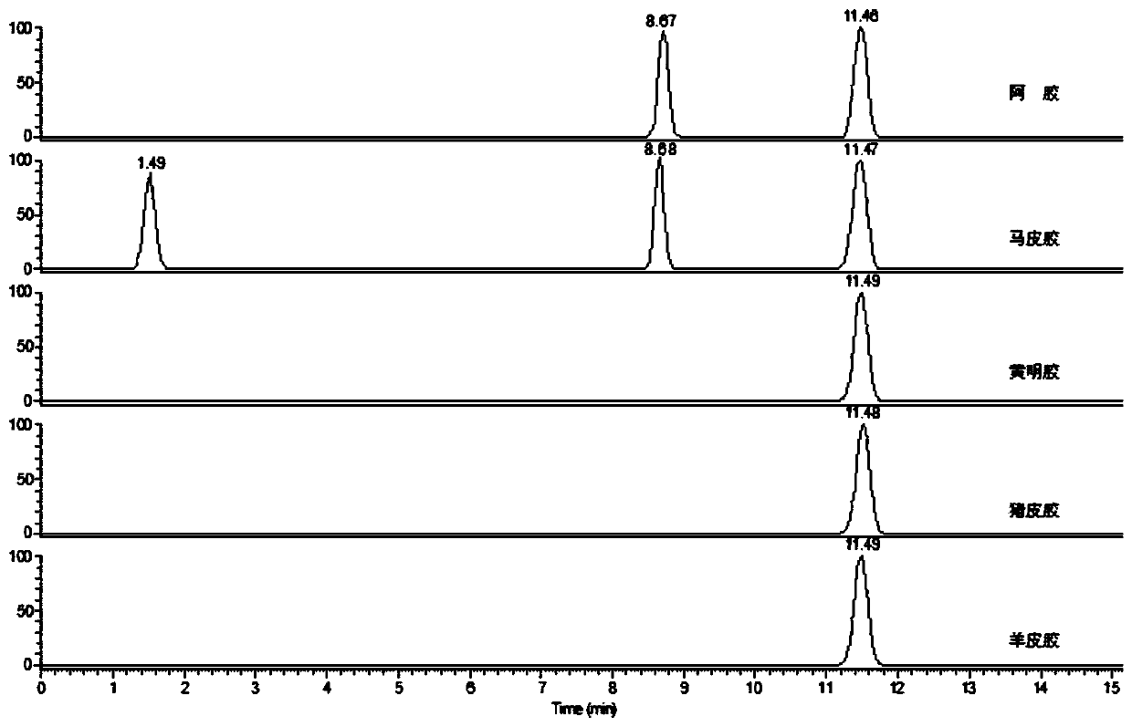 A composition, kit and detection method for authenticity identification of donkey-hide gelatin