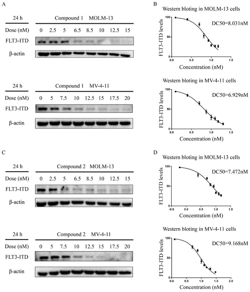 Proteolysis targeting chimera, and pharmaceutical composition and application thereof