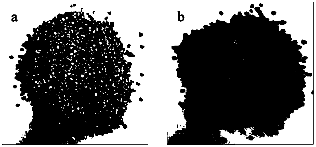 Master batch composition based on PVA starch as well as master batch and application thereof